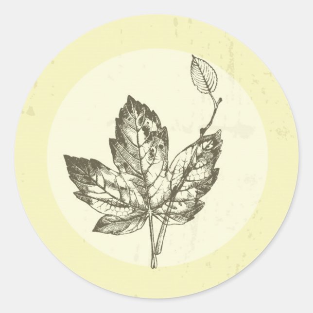 20 - 1.5  Envelope Seal Hand Drawn Fall Leaves (Front)