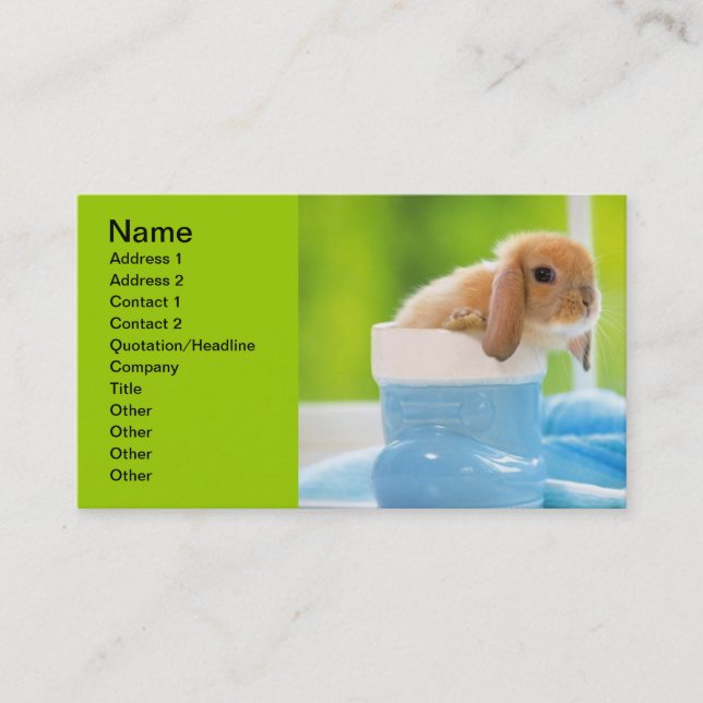 20_baby_animals (4) BABY BUNNY RABBIT blue greens Business Card (Front)