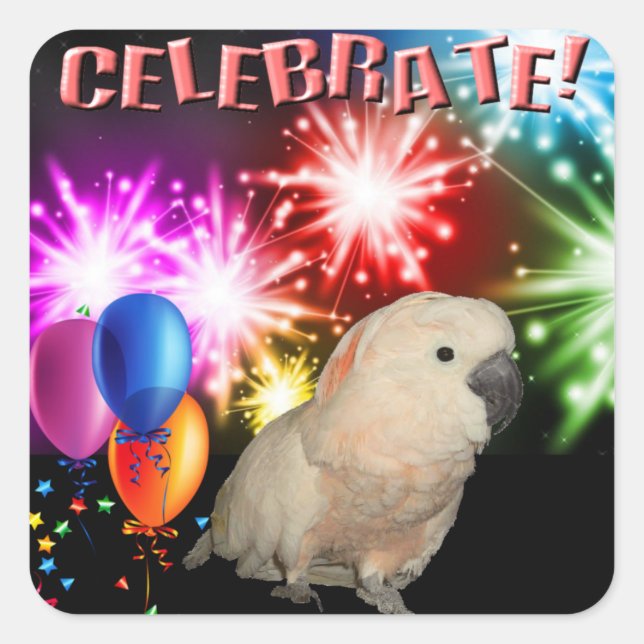 20 Moluccan Cockatoo stickers (Front)