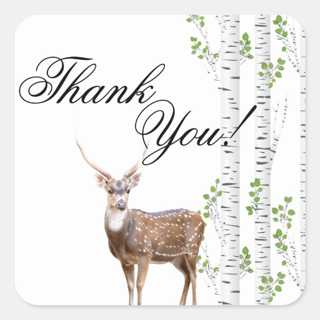 20 Stickers Merci Cerf Doe Buck Woodland Hunti (Devant)