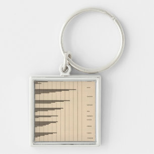 20 Urban to total population by states Keychain