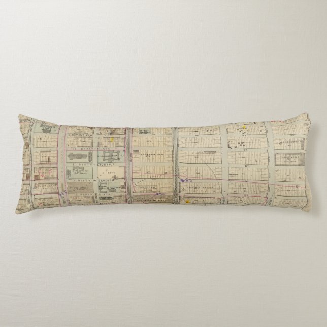 20 Ward 19 Body Pillow (Front)