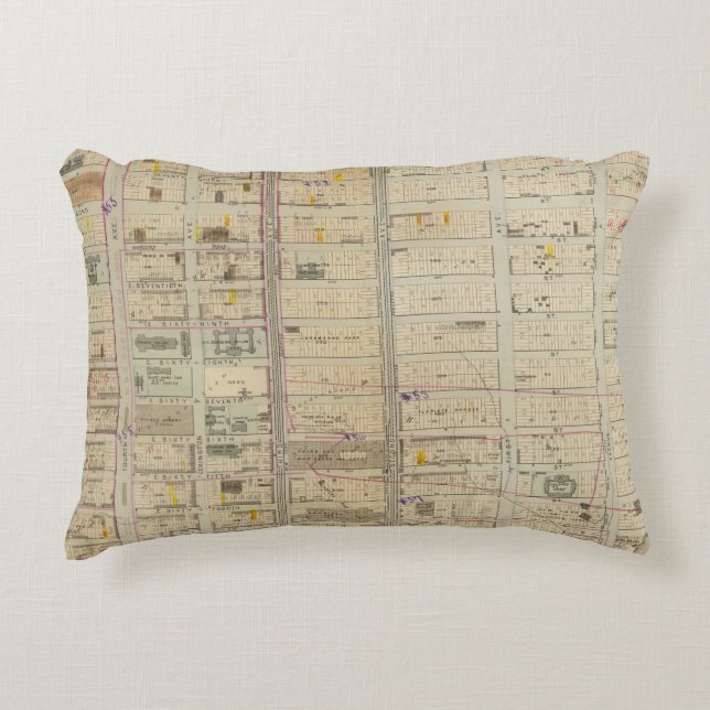 20 Ward 19 Decorative Pillow (Front)