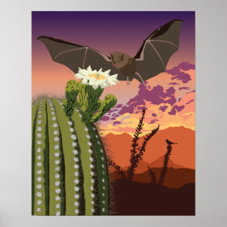 20"x16" Southwest Bat and Saguaro Poster