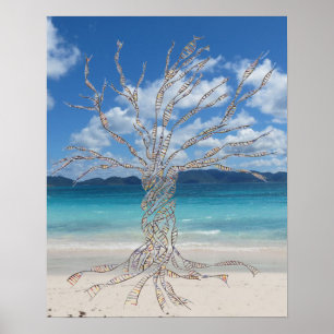 20" x 16", Value Poster Paper (Matte)