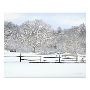 20 x 16 Walden Woods Project Farm Photo Imprimer