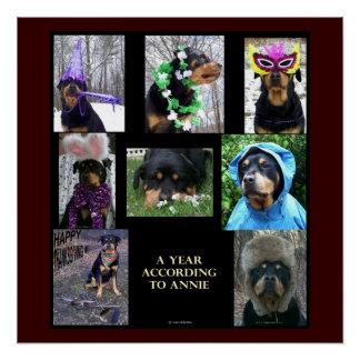 20 X 20" poster "A Year According To Annie"