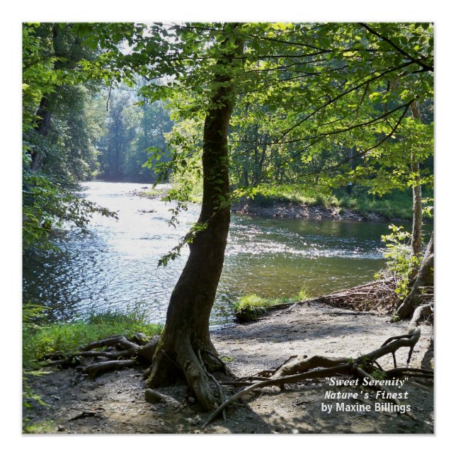 20" x 20", Poster (Semi-Gloss) (Devant)