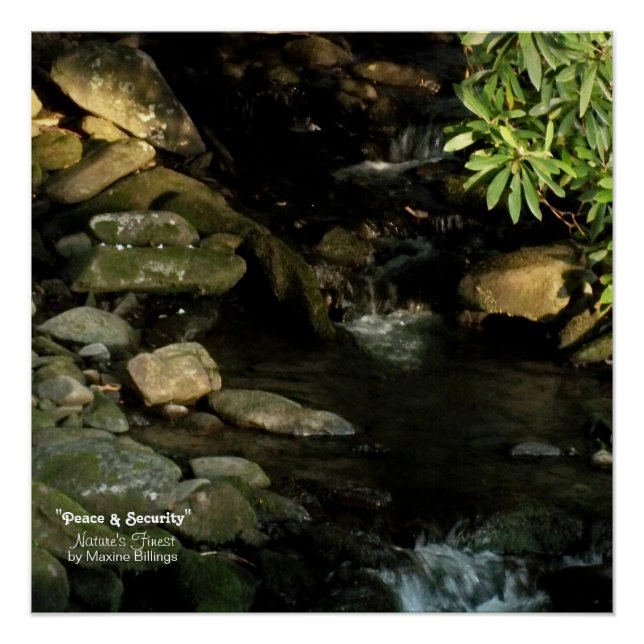 20" x 20", Poster (Semi-Gloss) (Front)