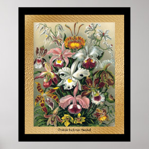 20 x 24 Black and Gold Poster