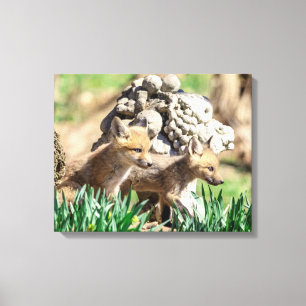 20x16 Fox Kits in the Hudson Valley Canvas Print