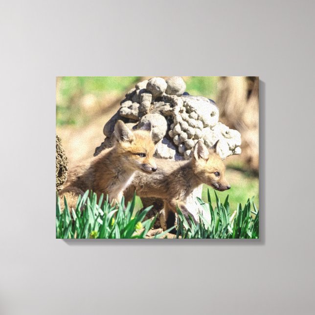 20x16 Fox Kits in the Hudson Valley Canvas Print (Front)