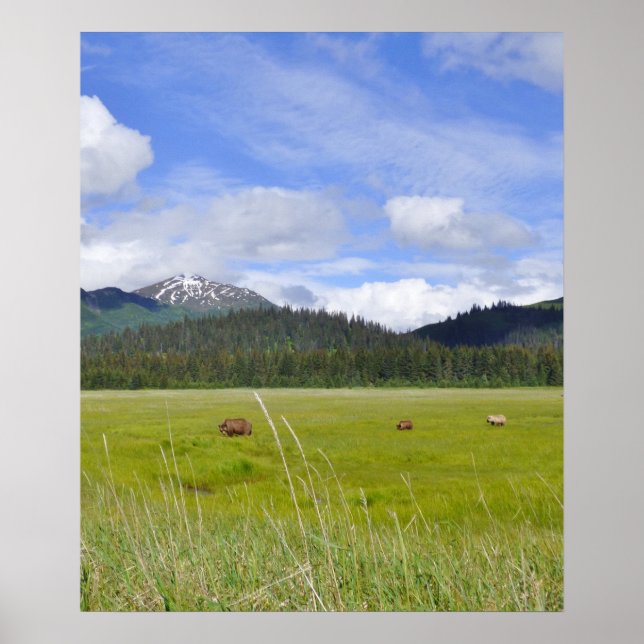 20x24 Poster Paper (Matte) of grizzly bears (Front)