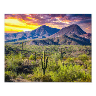 2124-2-Arizona Desert at Sunset with Cactus Photo Print