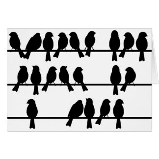 21 Birds On A Wire