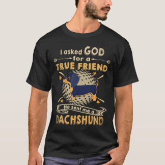 21 I Asked God For A True Friend He Sent Me A Dach T-Shirt