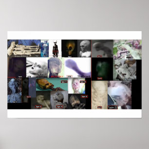 21 species real aliens poster