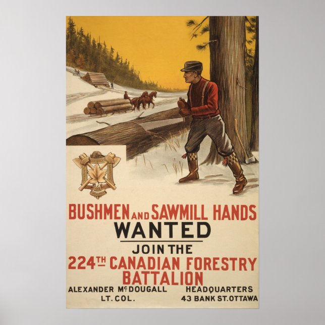 224th Canadian Forestry battalion 1915 Poster (Front)