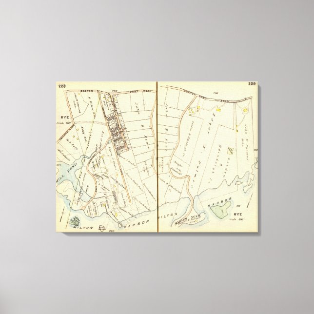 228229 Rye Canvas Print (Front)