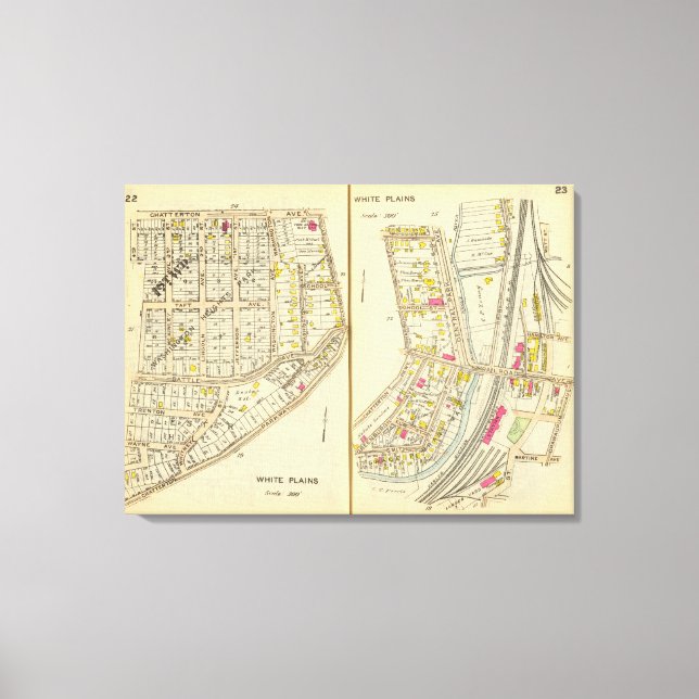 22-23 White Plains Canvas Print (Front)