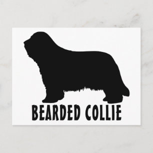 2315042007 Bearded Collie (Animales) Postcard