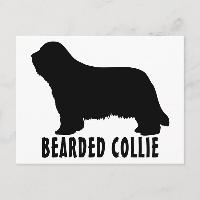 2315042007 Bearded Collie (Animales) Postcard (Front)