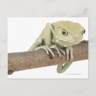 23568119 POSTCARD
