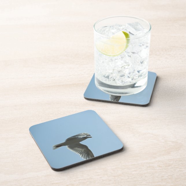 2367 COASTER (Right Side)