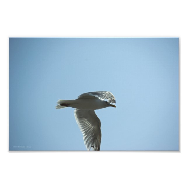 2367 PHOTO PRINT (Front)