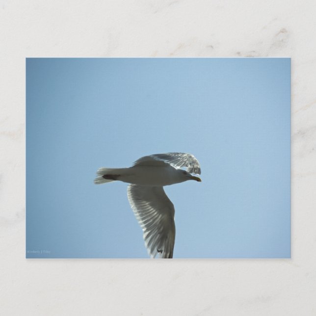 2367 POSTCARD (Front)