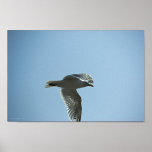 2367 POSTER