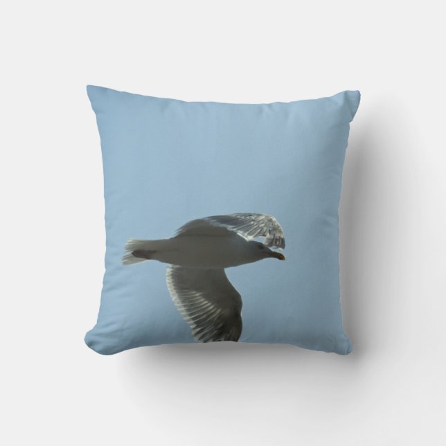 2367 THROW PILLOW (Front)