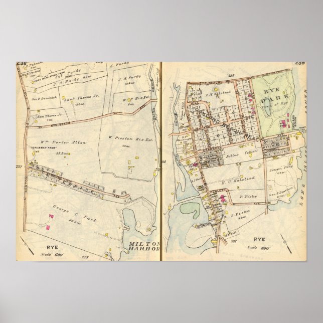 238239 Rye Poster (Front)