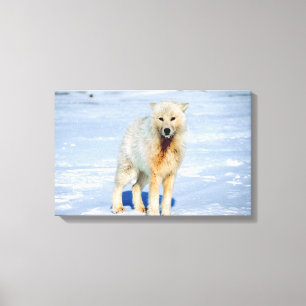 23872553 CANVAS PRINT