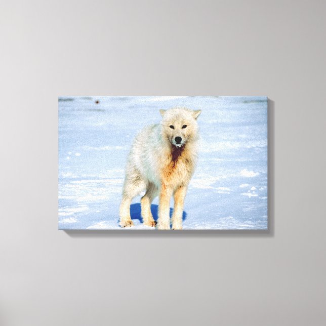 23872553 CANVAS PRINT (Front)