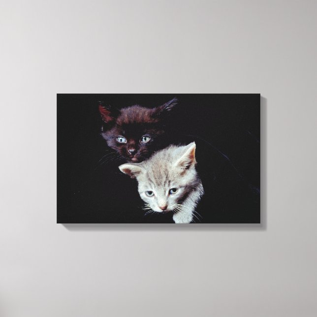 23893007 CANVAS PRINT (Front)