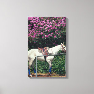 23893981 CANVAS PRINT