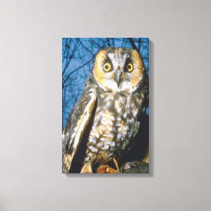 23897251 CANVAS PRINT