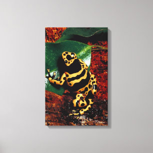 23898189 CANVAS PRINT