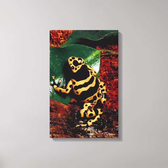 23898189 CANVAS PRINT (Front)