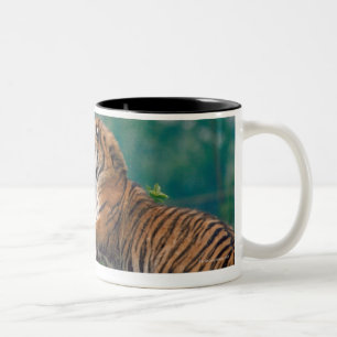 23899157 Two-Tone COFFEE MUG