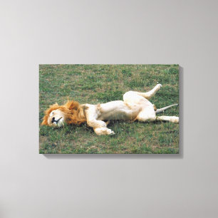 23899172 CANVAS PRINT