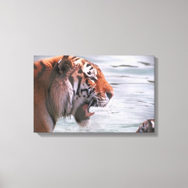 23899262 CANVAS PRINT (Front)