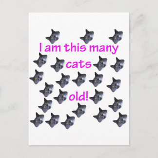 23 Cat Heads Old Postcard