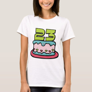 23 Year Old Birthday Cake T-Shirt
