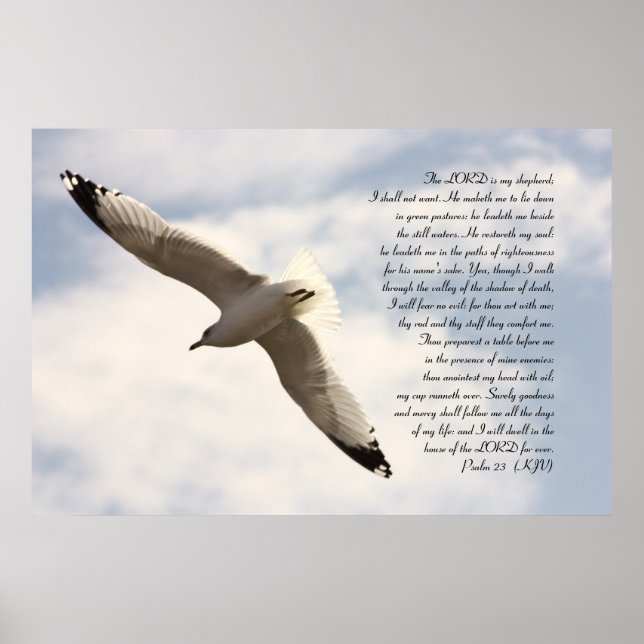 23rd Psalm Biblical Verse with Soaring Sea Gull Poster (Front)