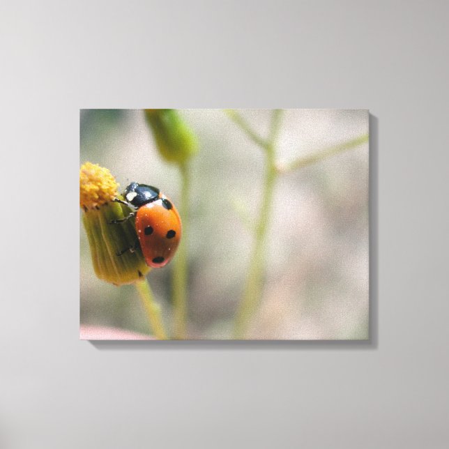 24102385 CANVAS PRINT (Front)