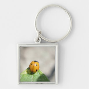 24102386 KEYCHAIN