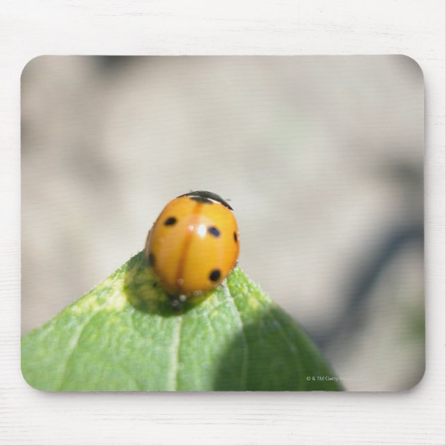 24102386 MOUSE PAD (Front)