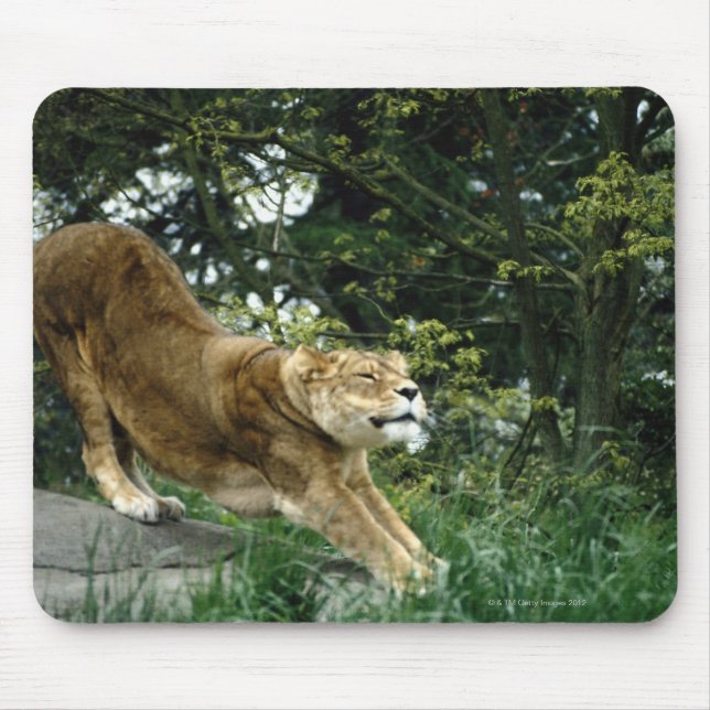 24114343 MOUSE PAD (Front)